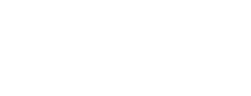 Shiva Yoga Practice